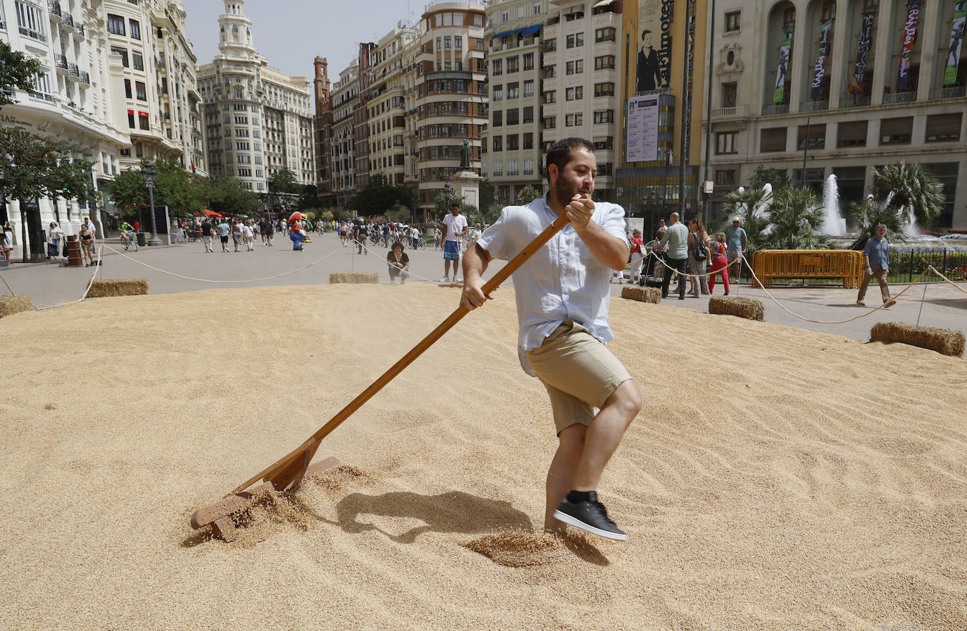 Fotos del festival Tastarros en la plaza del Ayuntamiento de Valencia