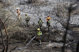 Bomberos en un incendio forestal en Riba-roja este año.