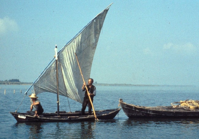 Fotograma en el lago de la Albufera de «Cañas y barro».