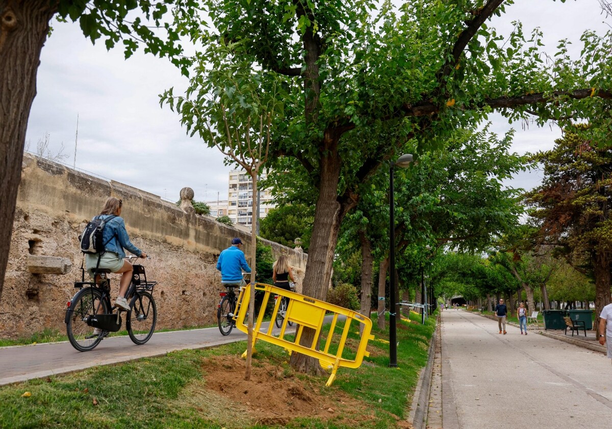 Ofensiva contra la suciedad que provocan las moreras en el Jardín del Turia