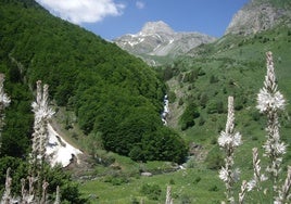 Valle del Bujaruelo, en los Pirineos aragoneses.