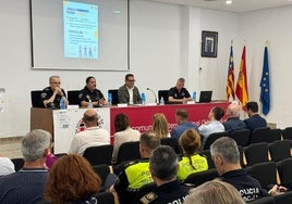 Consejo Comarcal de Seguridad.