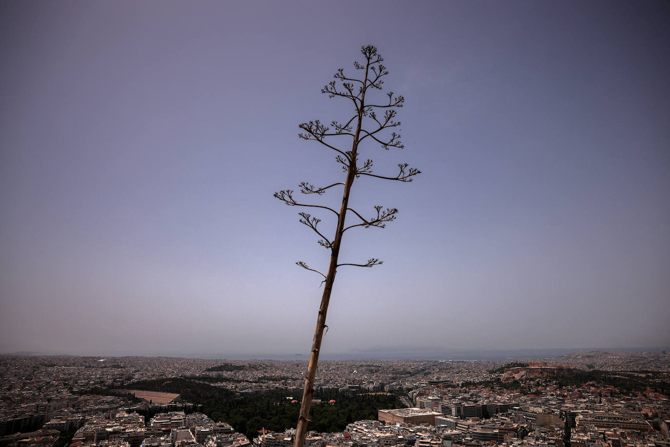 Fotos: la primera ola de calor del verano invade Grecia