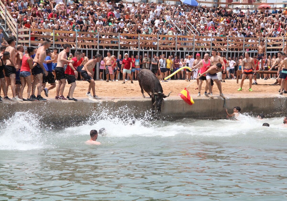 Dénia ahorrará 10.000 euros en los toros de la Festa Major con la reducción de sesiones