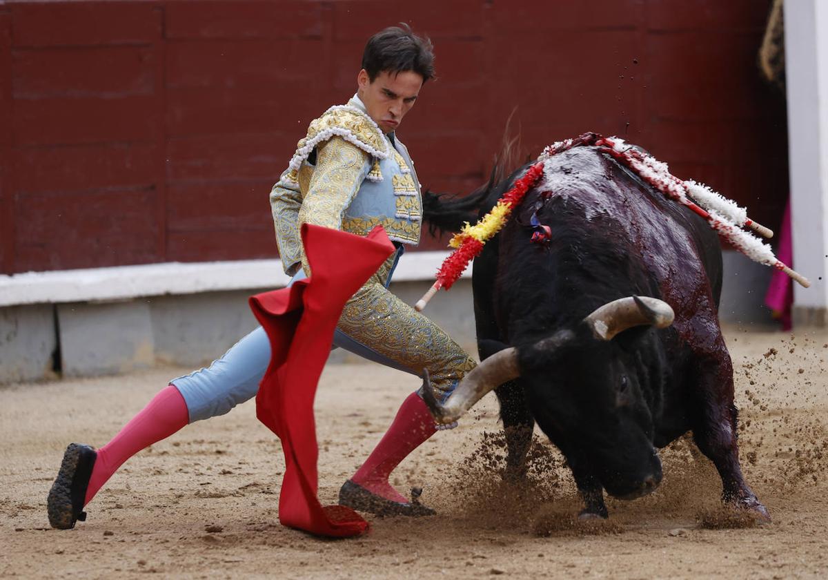 Fuerte cogida del torero Gonzalo Caballero en el municipio salmantino de Alba de Tormes