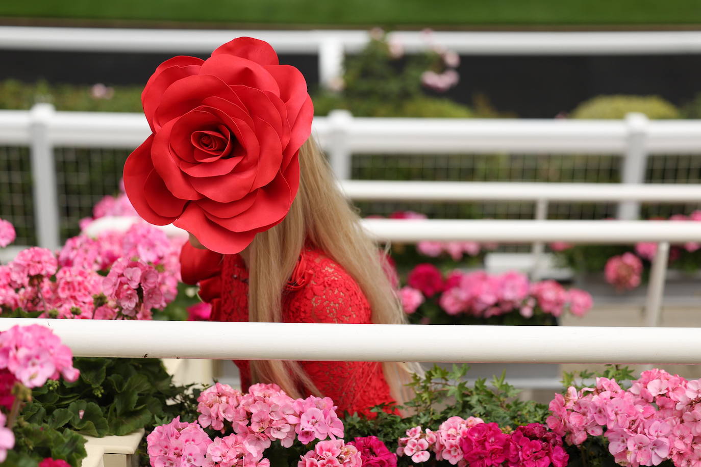 Las carreras de Royal Ascot vuelven a reunir a la élite inglesa y a sus tocados