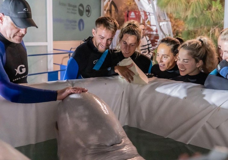 Cuidadores con una de las belugas.