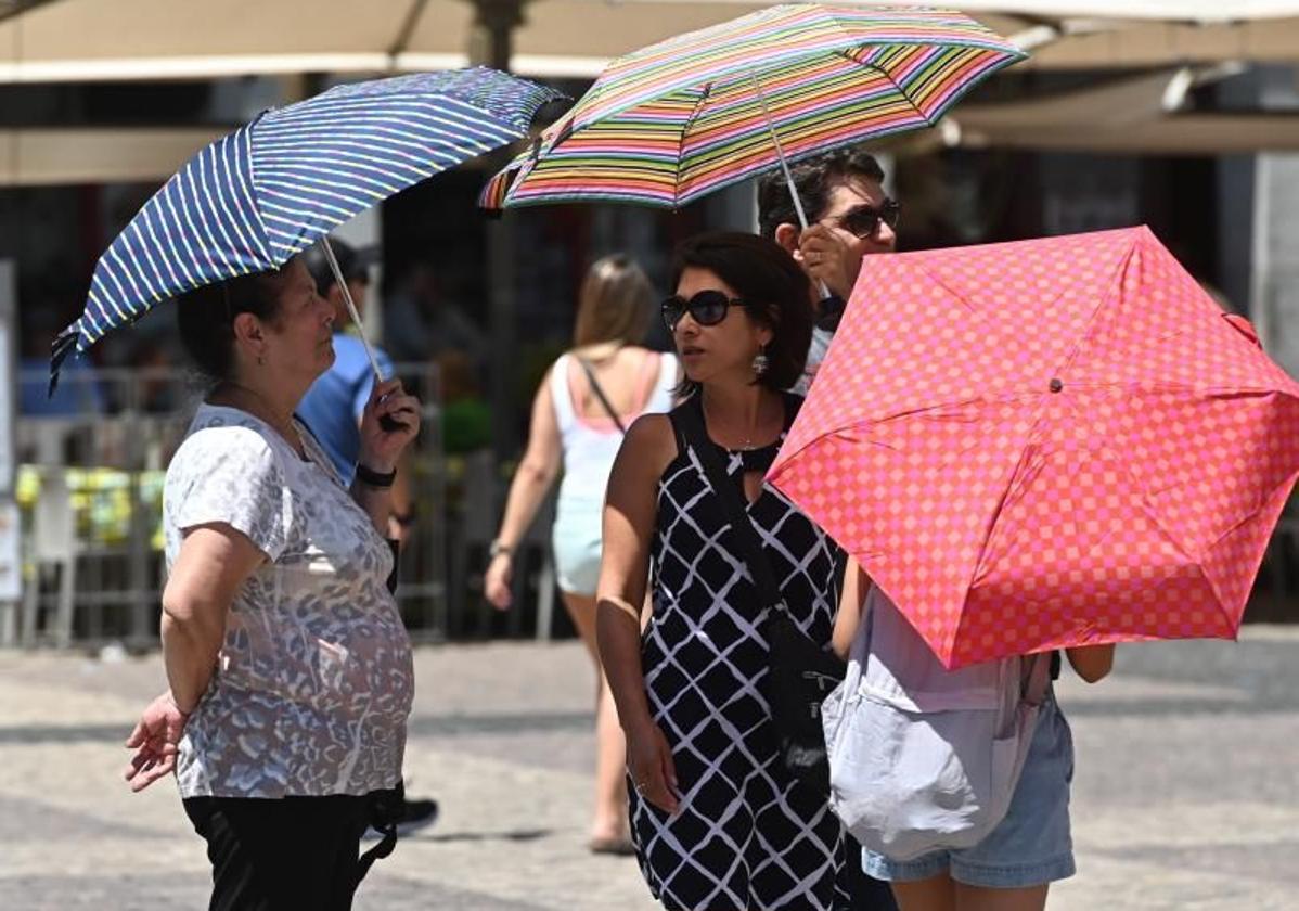 Un grupo de personas se protege del sol con sombrillas.