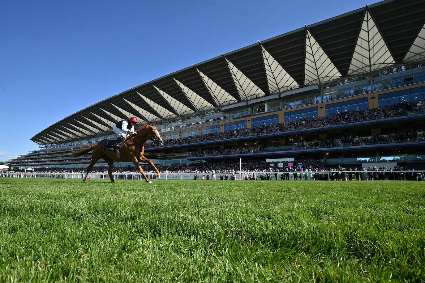 Los reyes Carlos y Camila, protagonistas de las carreras Royal Ascot