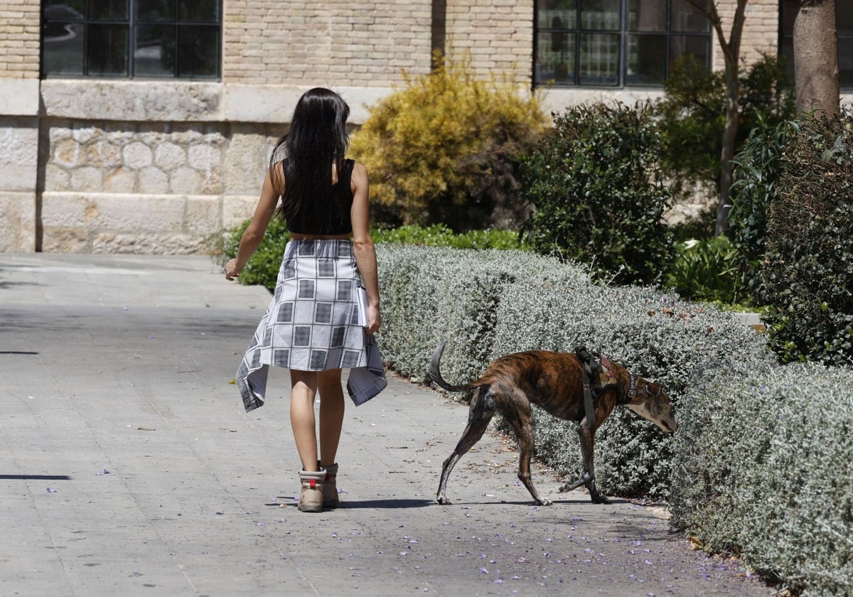 Un perro, con su dueña, paseando por el Parque Central.