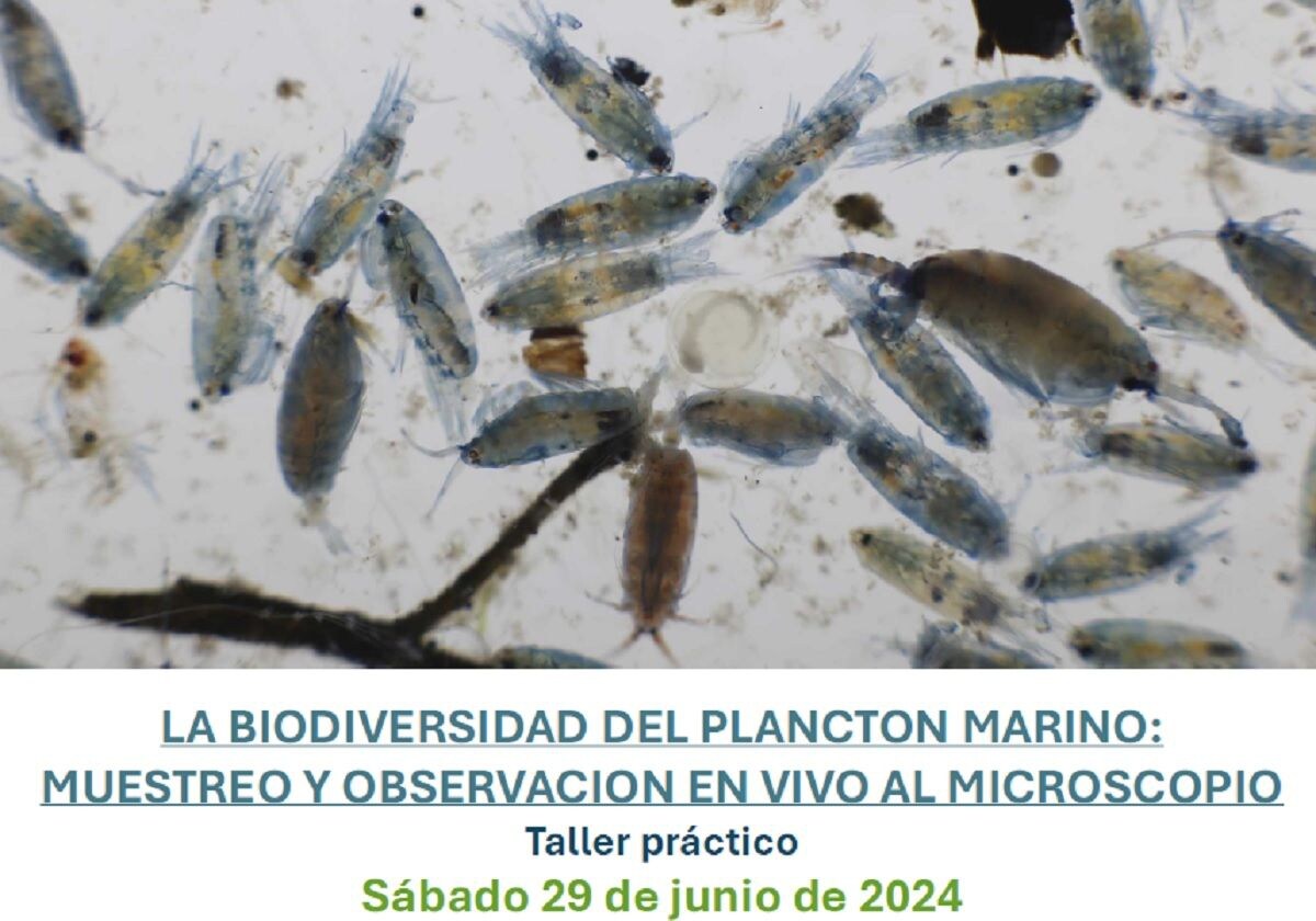 Marina Dénia acoge un taller práctico de iniciación a la observación del plancton marino