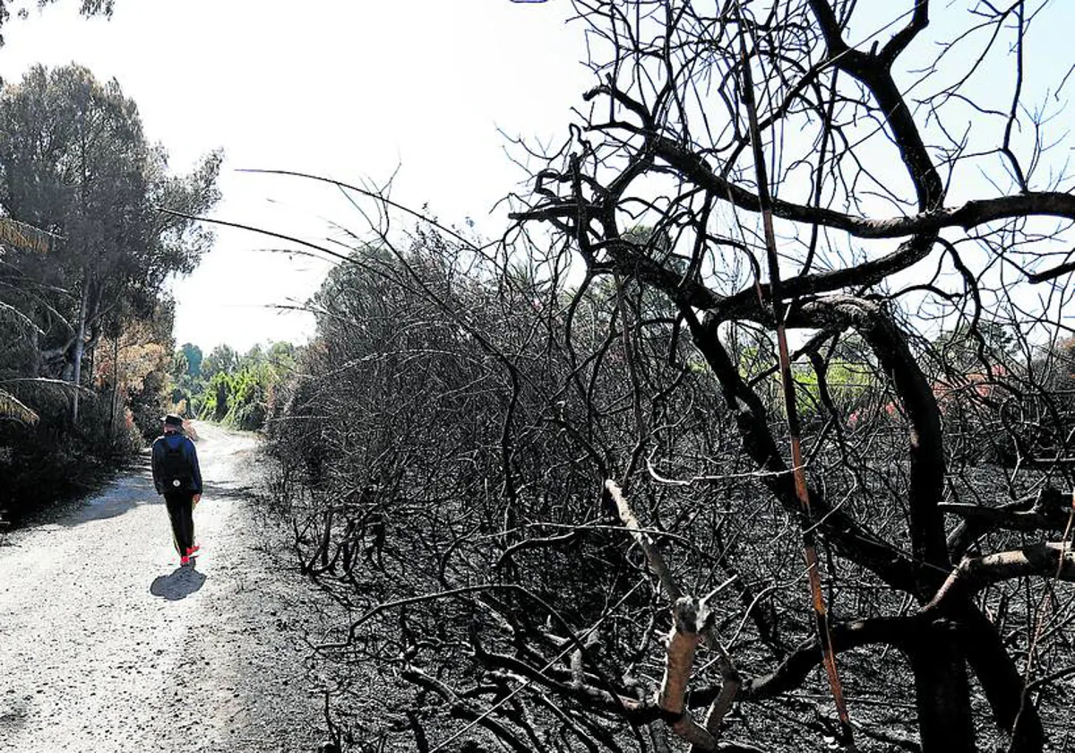 El análisis del móvil del supuesto pirómano del Saler lo ubica en la zona en al menos seis incendios