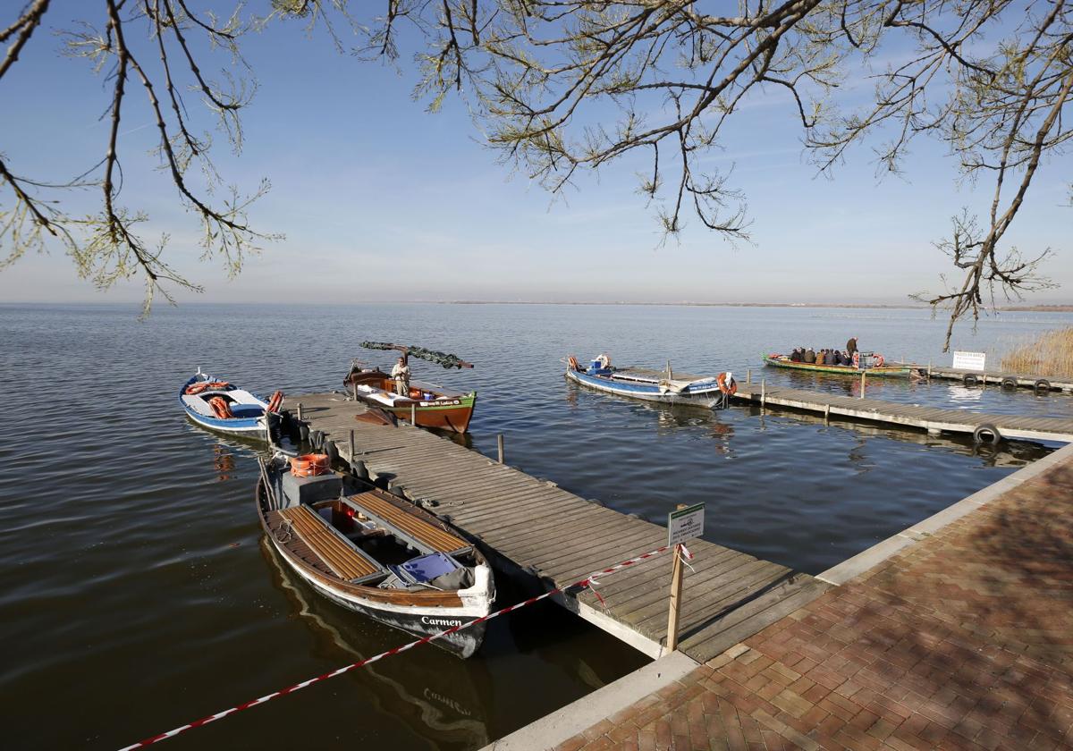 El Ayuntamiento de Valencia pondrá buses gratis para ir a la Albufera en julio