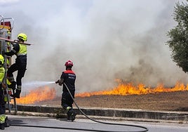Unos bomberos actúan en un incendio de vegetación.