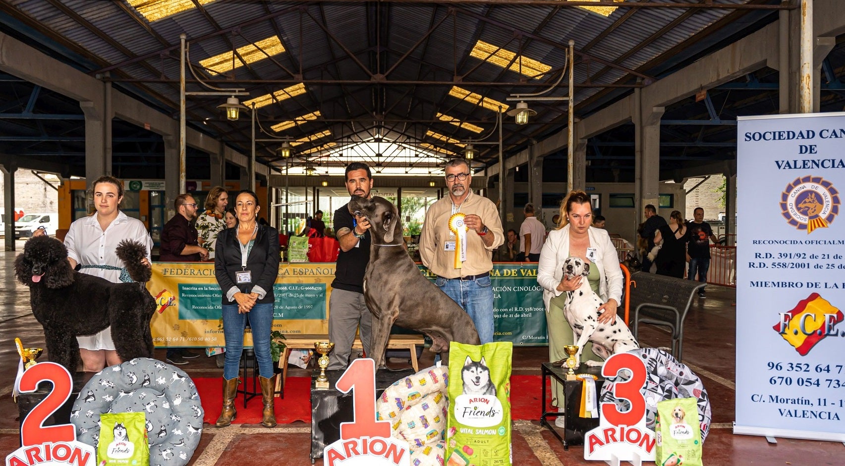 Los tres perros ganadores de la categoria abierta.