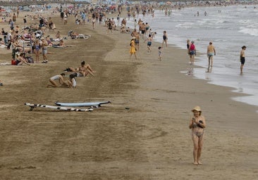 Las playas valencianas con mayor presencia de tiburones