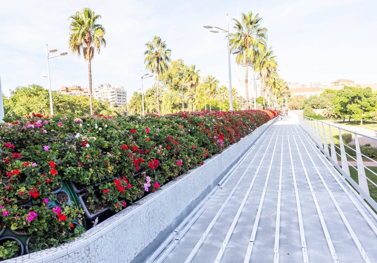 Antifraude ve fraccionamiento de contratos en la renovación del puente de las Flores en la época de Ribó