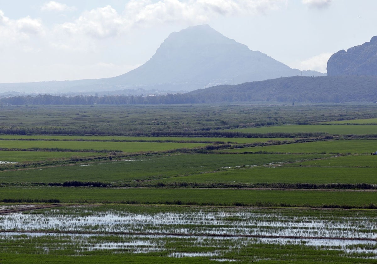 Vista de los campos de cultivo desde el mirador de la Muntanyeta Verda.