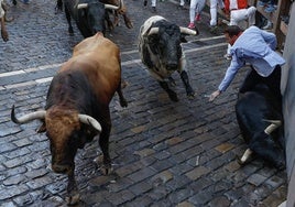 Los veloces Cebada Gago protagonizan este lunes del encierro de los Sanfermines.