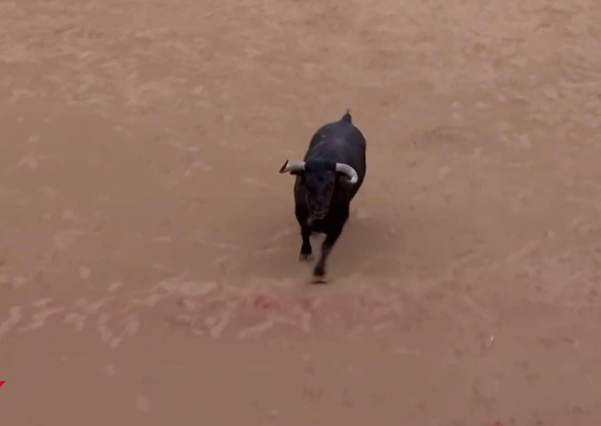 Imagen secundaria 1 - Un toro se parte un pitón en una escena insólita de los encierros de San Fermín