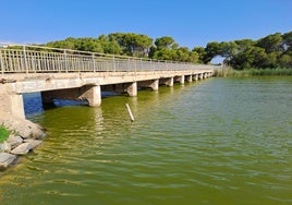 Estado actual del puente de la Gola de Pujol.