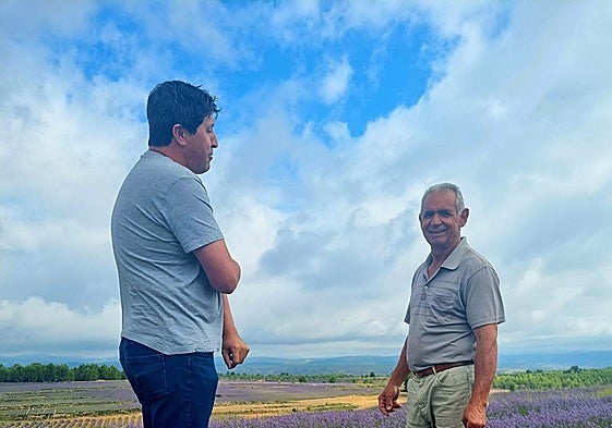 El empresario Blas Aparicio y Ángel Andrés, alcalde de Ademuz, en uno de los campos de lavanda.