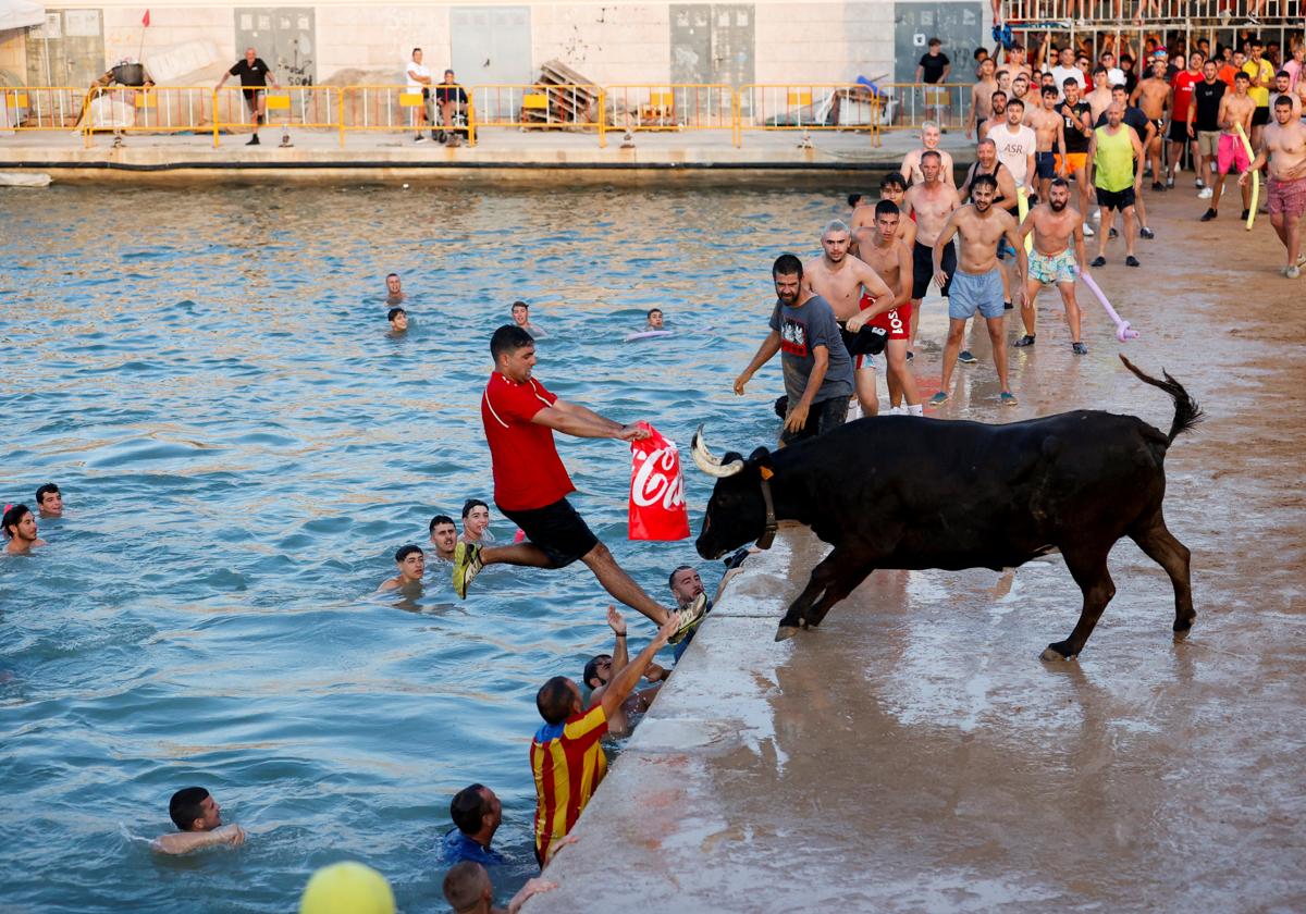 Celebración anual de 'bous a la mar' en Denia