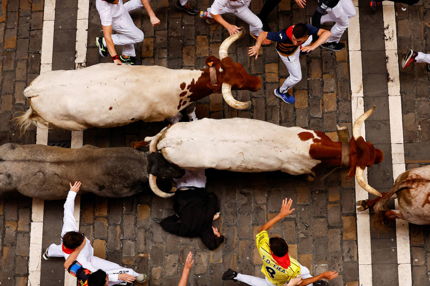 Las mejores imágenes del séptimo encierro de San Fermín 2024