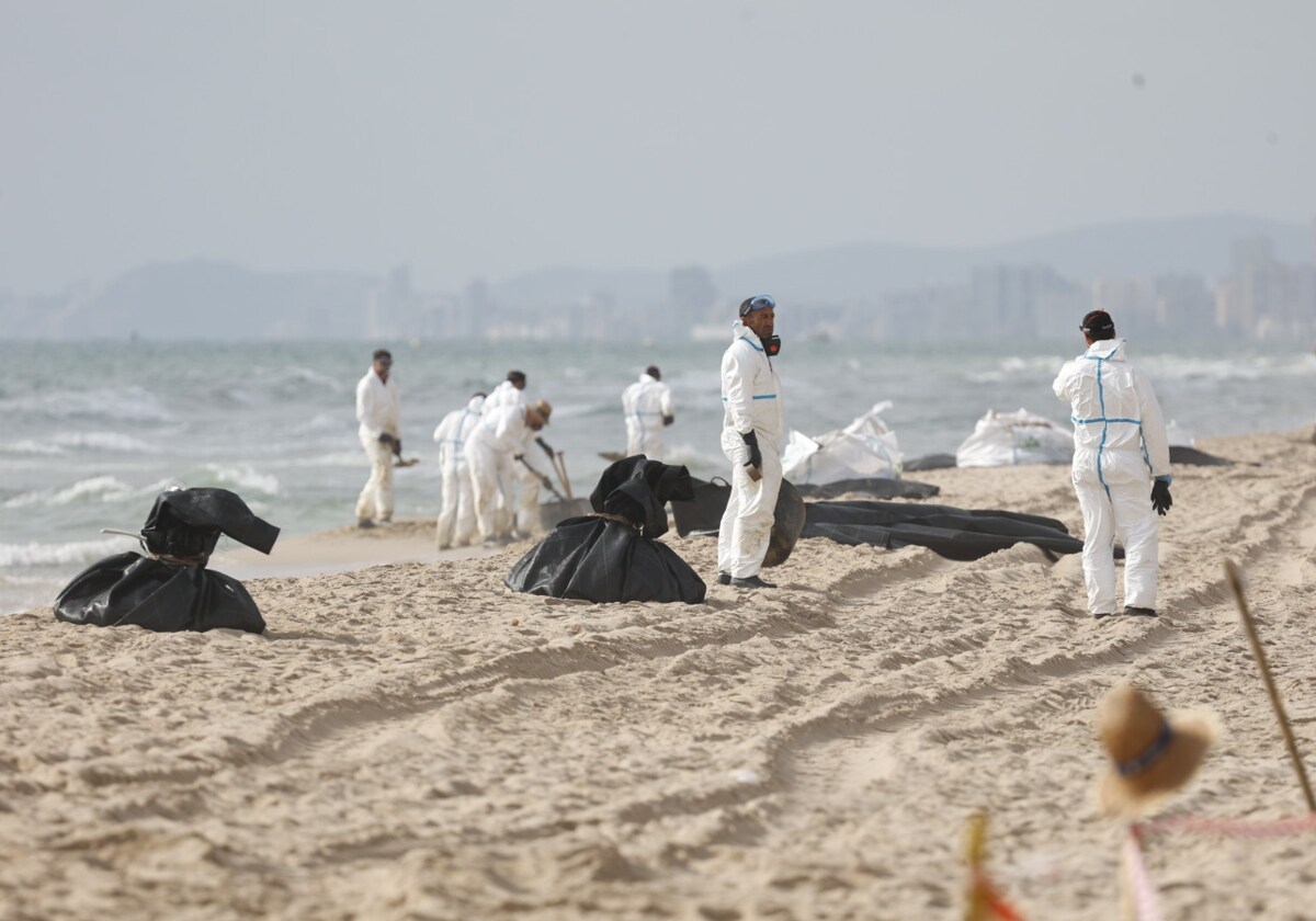 Las playas del sur de Valencia afectadas por el vertido, tres días cerradas 