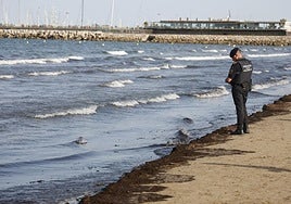 Ubicación de la mancha.