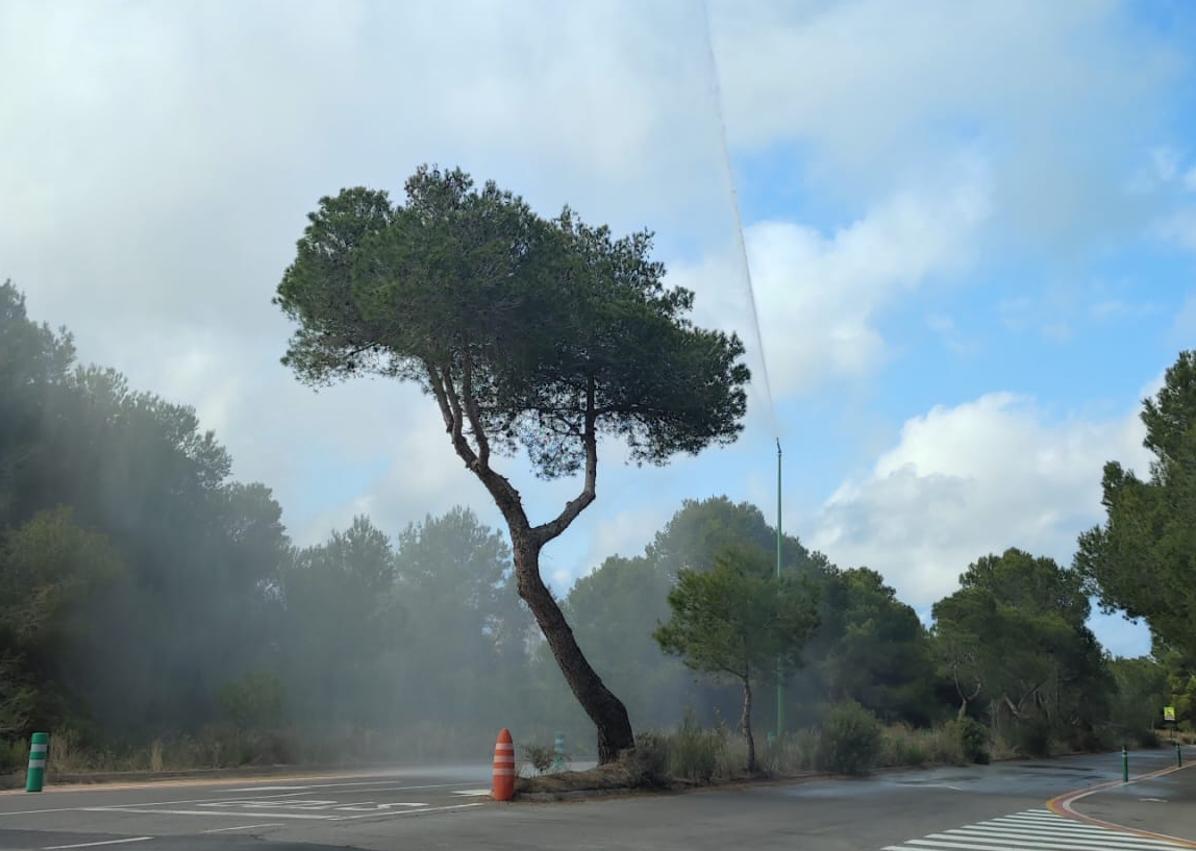 Imagen secundaria 1 - Cañones de agua activados por el calor.