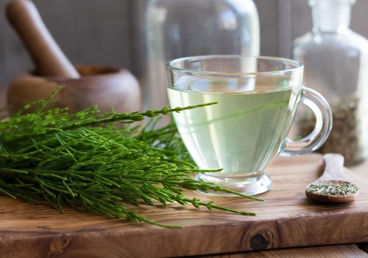 El verano sigue siendo un buen momento para tomar infusiones si las tomas con hielo.