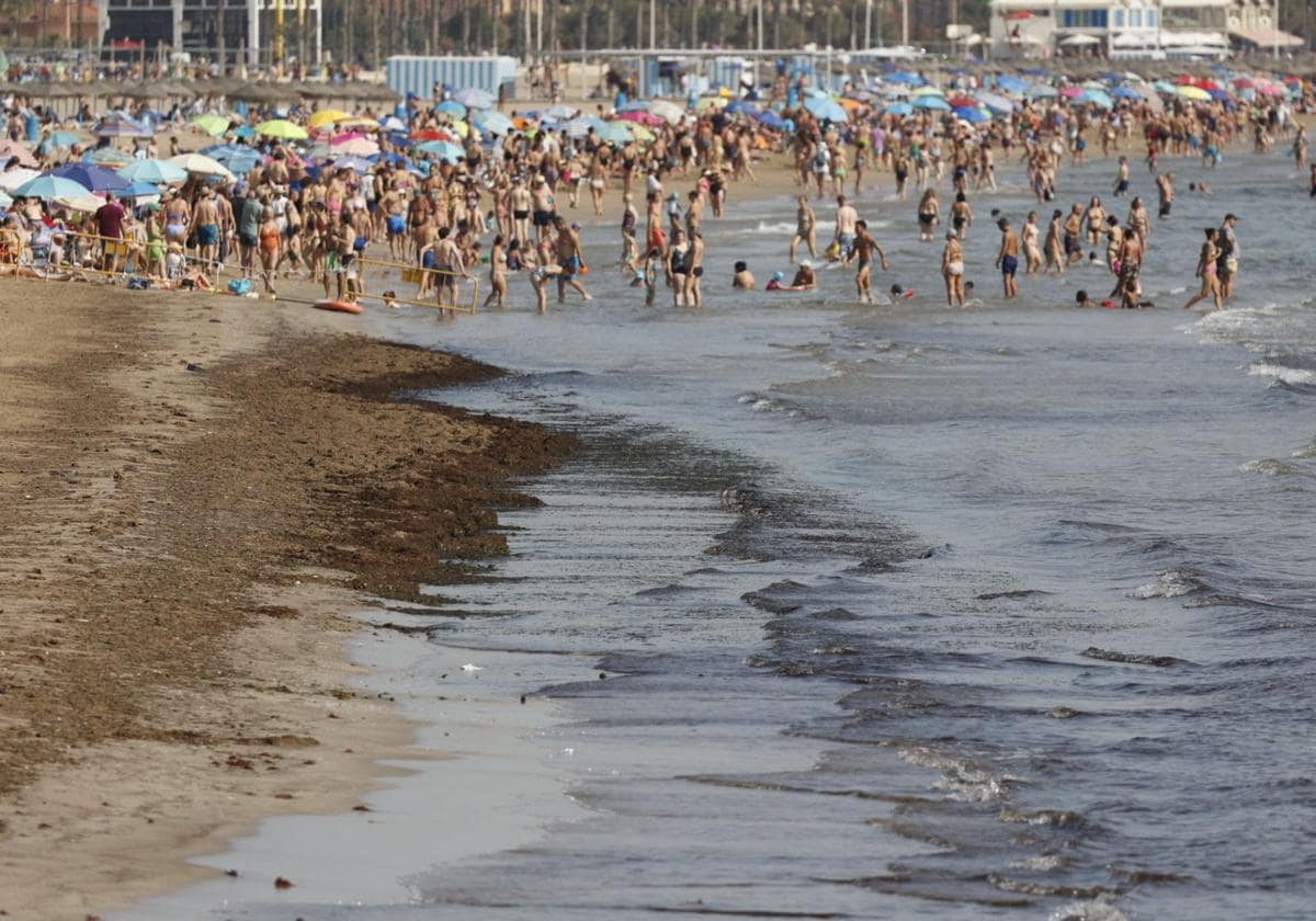 La playa del Cabanyal vuelve a abrir al baño tras la aparición de algas y basuras 