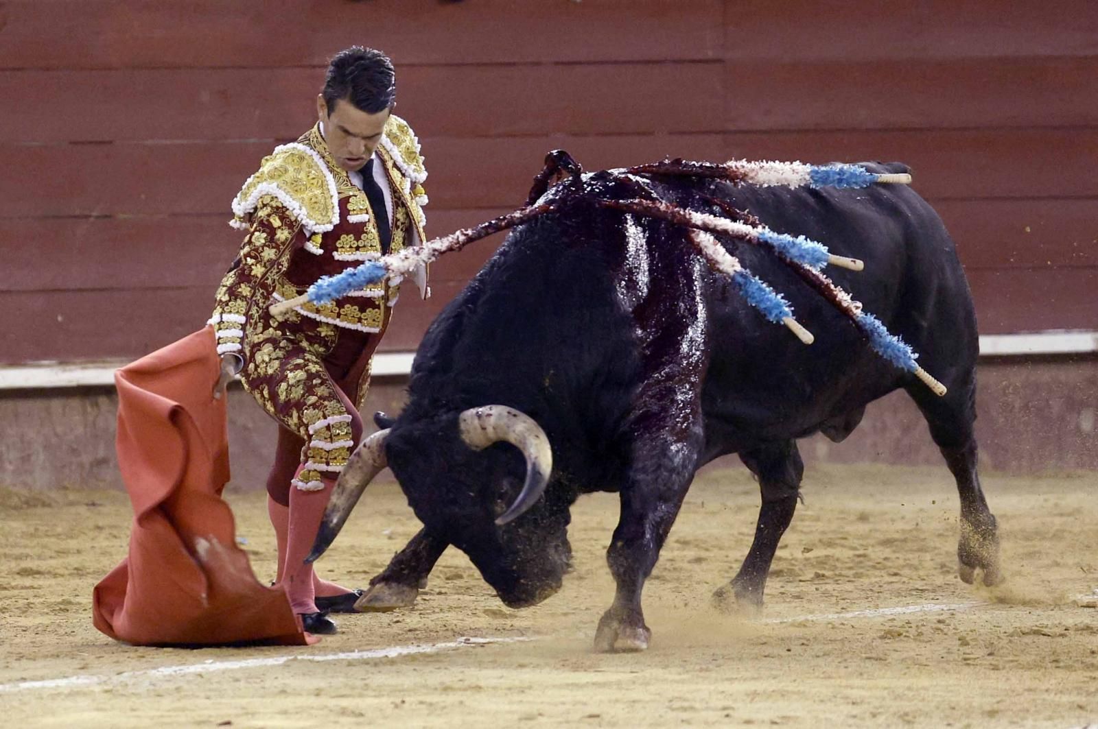 Así fue el derrumbe del sexto toro en Valencia