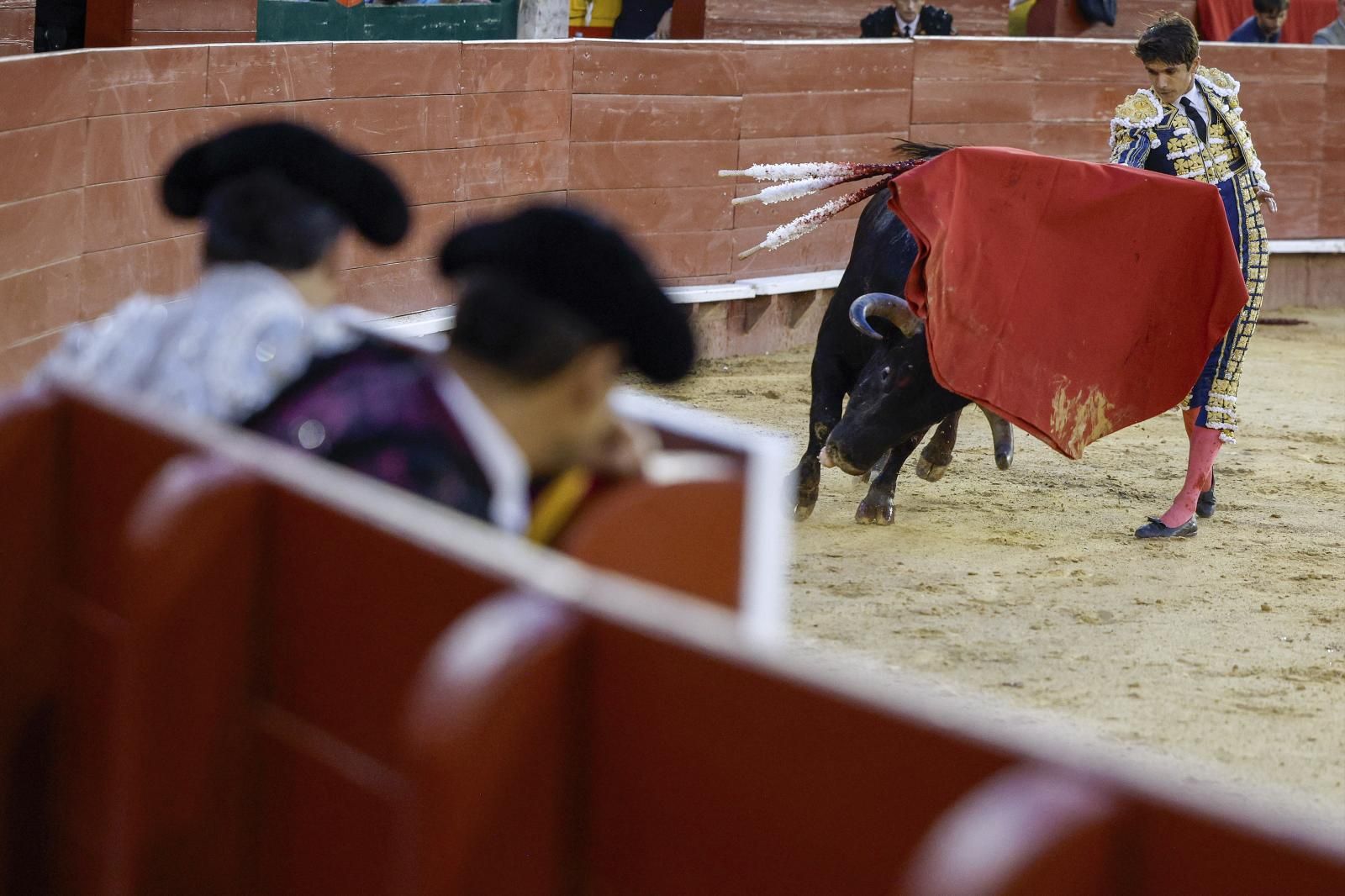 Así fue el derrumbe del sexto toro en Valencia