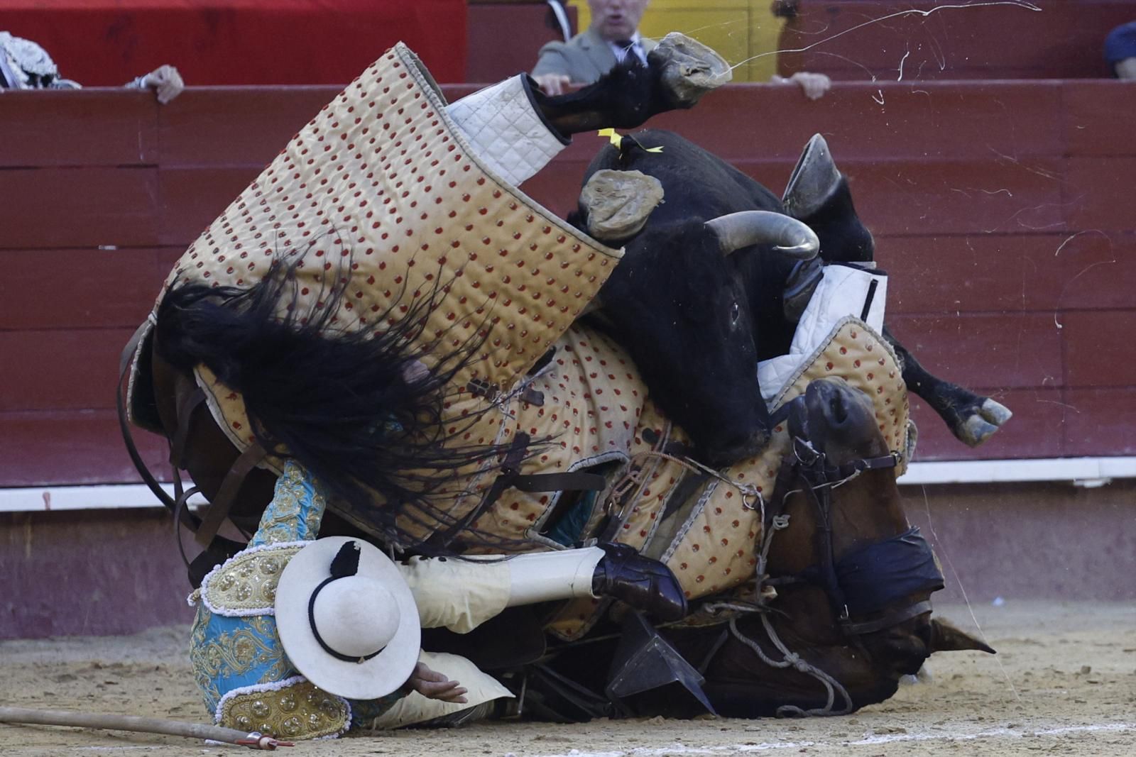 Así fue el derrumbe del sexto toro en Valencia