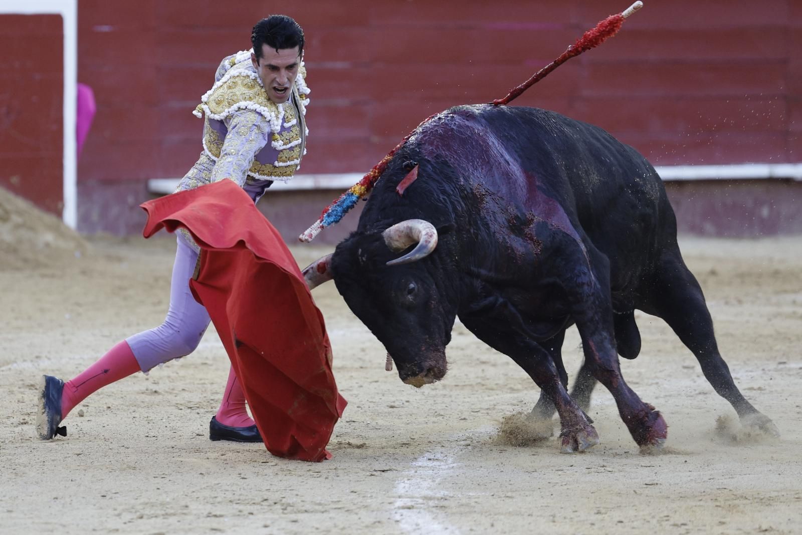 Así fue el derrumbe del sexto toro en Valencia