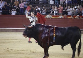 Román, durante su faena a Escondido.