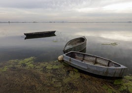 Barcas amarradas en las aguas de El Perellonet.