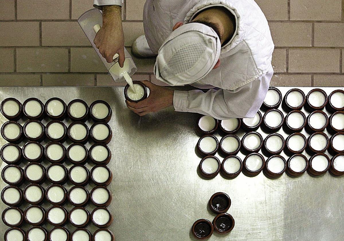 El alimento probiótico que cuida tu piel y fortalece tus huesos