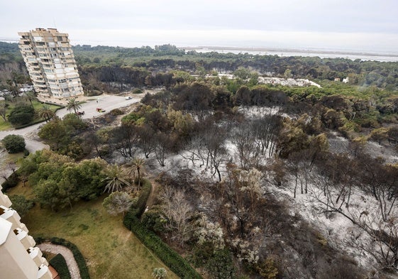 Estado de la Devesa tras un incendio el año pasado.