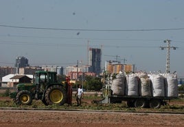 Un tractor en la huerta.