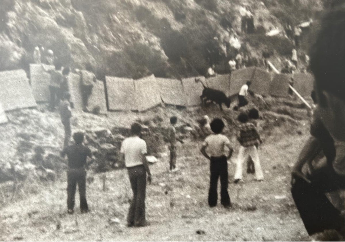 En el restaurante Sur de Xàbia se puede ver esta foto de un toro en la Granadella.