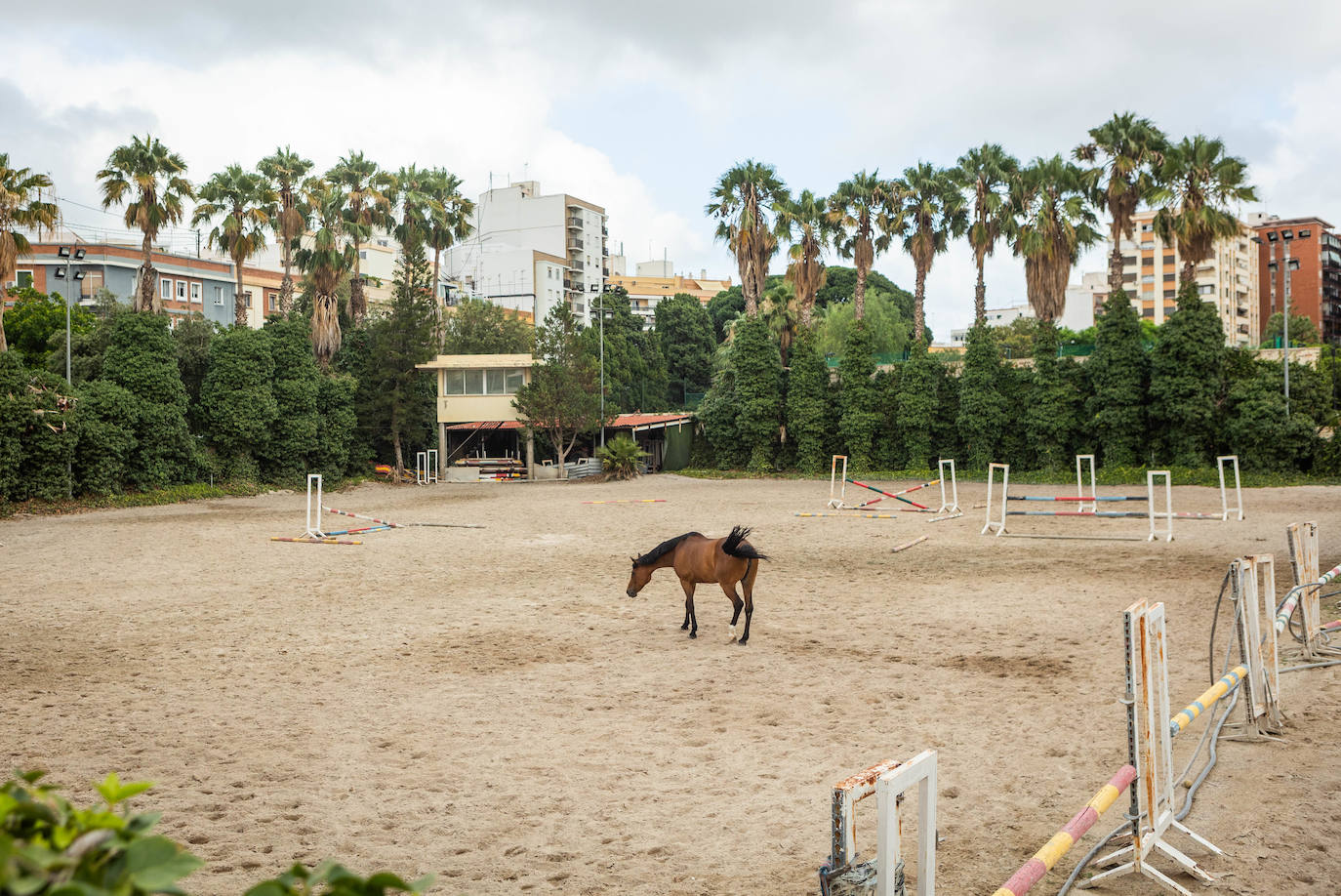 Los últimos días de la Hípica de Valencia