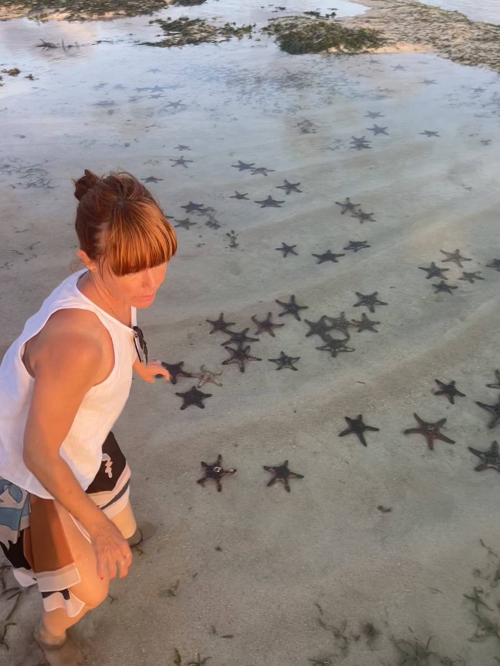 Una playa llena de estrellas de mar en Rote.