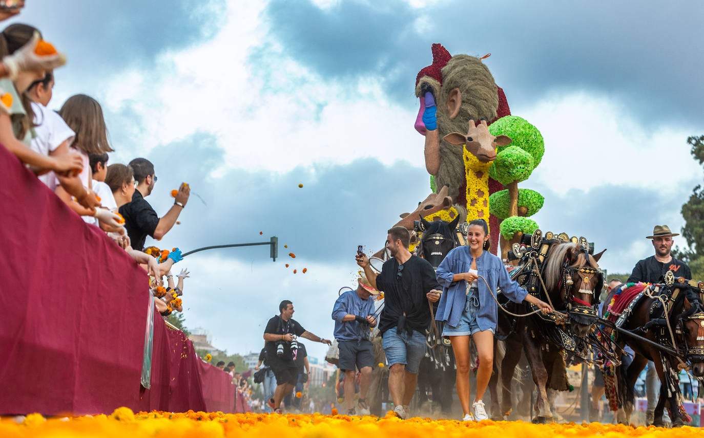 Las mejores imágenes de la Batalla de Flores 2024