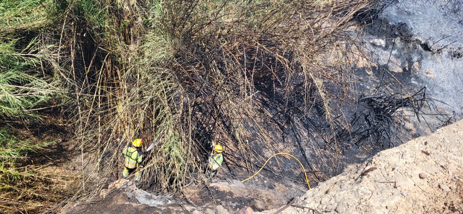 Uno de los incendios declarados en Canals.