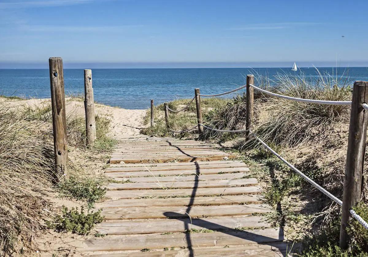 Cómo están hoy las playas de Gandia, Oliva y Cullera: tiempo y bandera