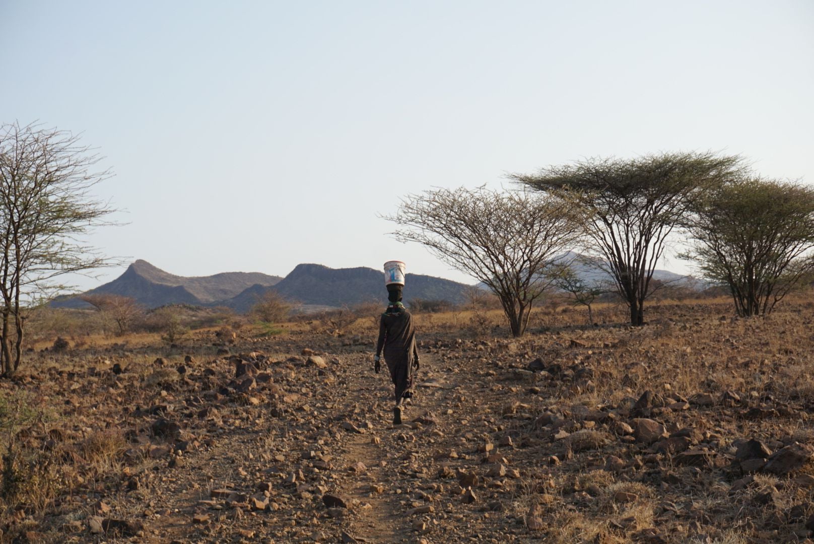 Imagen principal - Un largo viaje al norte de Kenia: los valencianos que pasan sus veranos de campamento en África