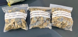 Marihuana incautada en el registro del vehículo.